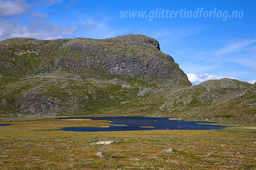 På vei over Søre Koppflye med Søre Koppe (1403 moh), turens mål, i bakgrunnen.