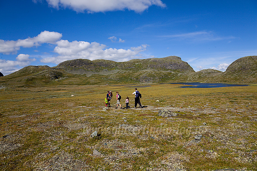 FJellvandrere på vei mot Søre Koppe (1403 moh) som ses i bakgrunnen.