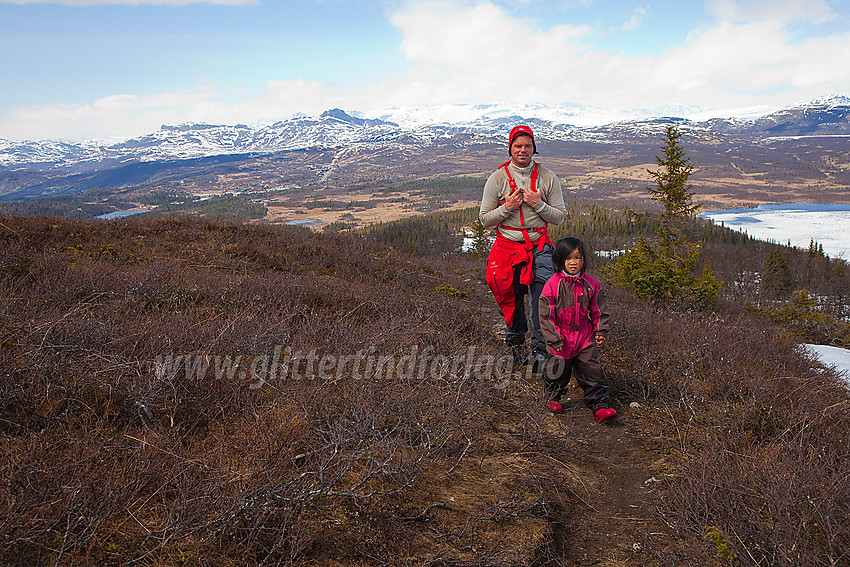 Oppe på topplatået på Javnberget med utsikt i nordlig retning mot Beitostølen og Bitihorn.