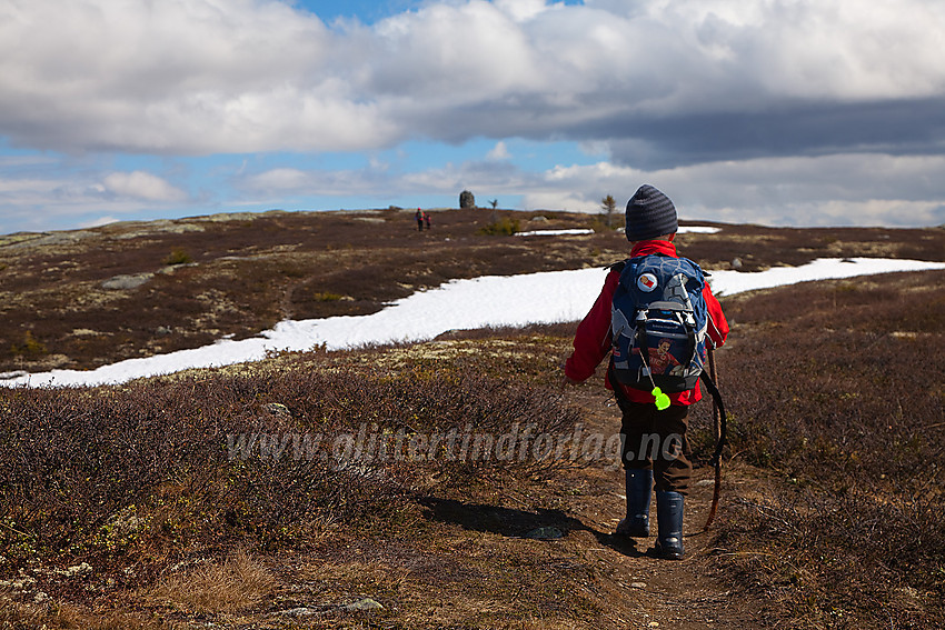 På topplatået på Javnberget (1097 moh) i Øystre Slidre. Varden ses i bakgrunnen.