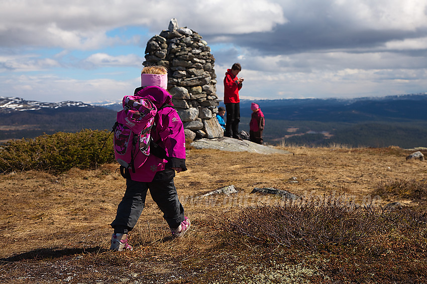 På topplatået på Javnberget (1097 moh) i Øystre Slidre. Varden ses i bakgrunnen.