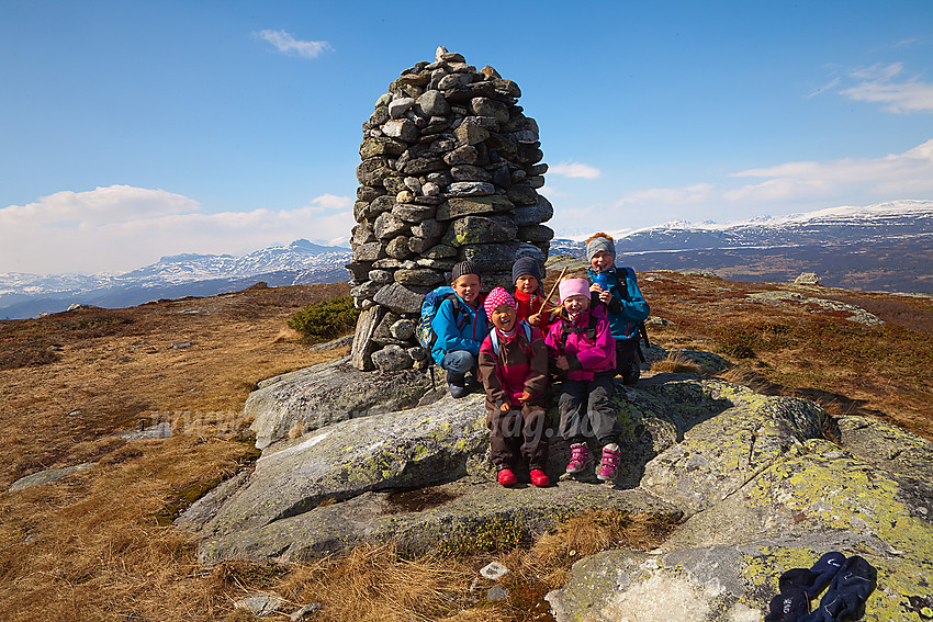 Glade barn på toppen av Javnberget (1097 moh) i Øystre Slidre.