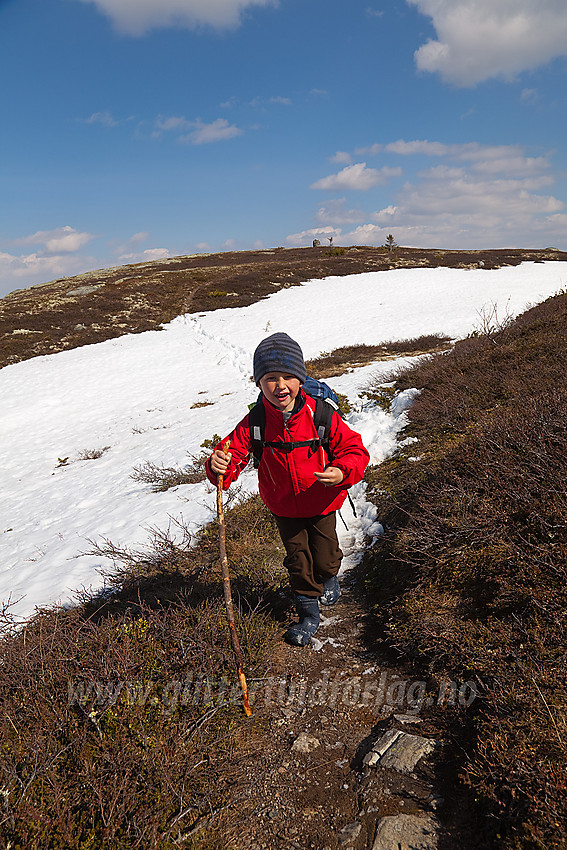 Liten fjellvandrer på Javnberget i Øystre Slidre. 