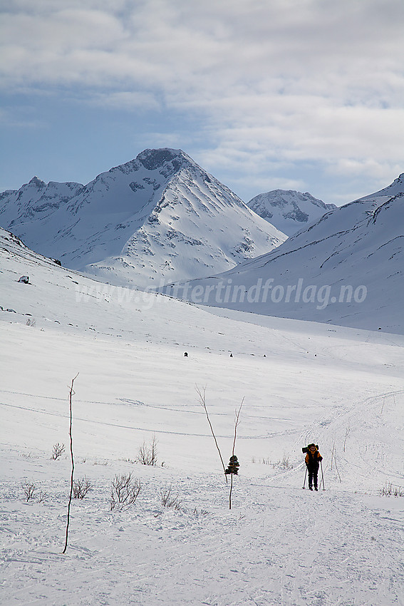 Skiløper i Visdalen med Store Urdadalstinden (2116 moh) i bakgrunnen.