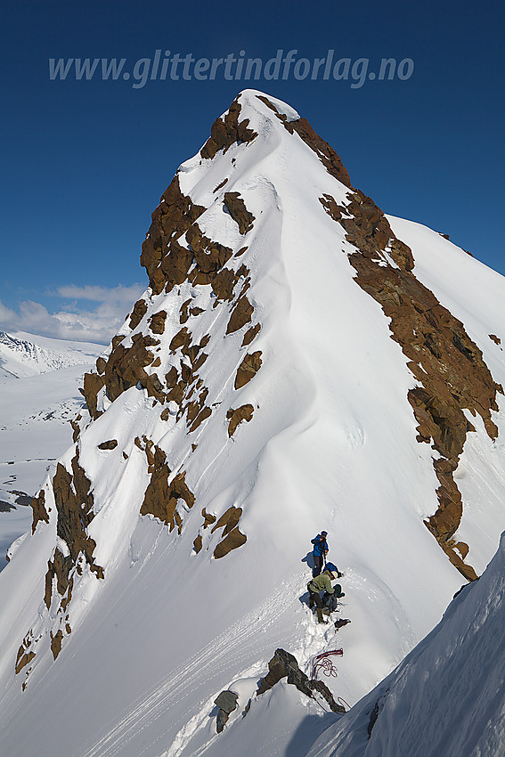 Veobreahesten (2185 moh) sett fra vest.