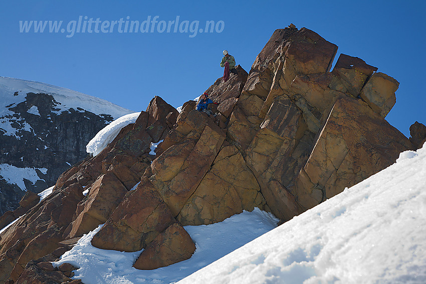 Ved toppen på Veobreahesten (2185 moh).