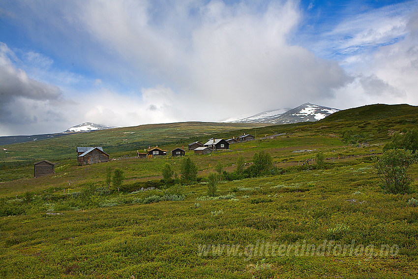 Ved Veolie ovenfor Sjodalen. 