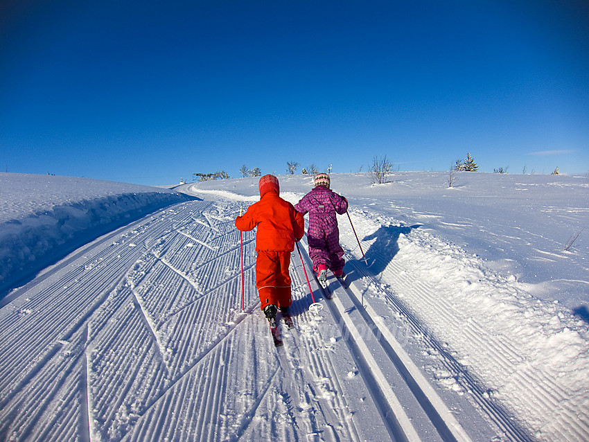 På vei mot Saukollen, toppen på skitrekket på Vaset.