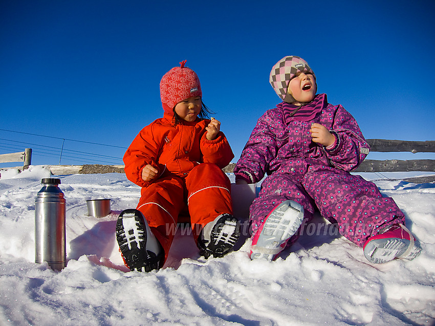 Velfortjent pause på toppen av Saukollen (1051 moh - toppen av skitrekket på Vaset).