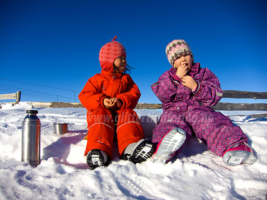 Velfortjent pause på toppen av Saukollen (1051 moh - toppen av skitrekket på Vaset).