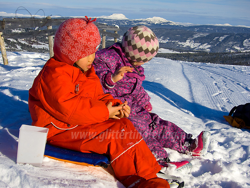 Velfortjent pause på toppen av Saukollen (1051 moh - toppen av skitrekket på Vaset).