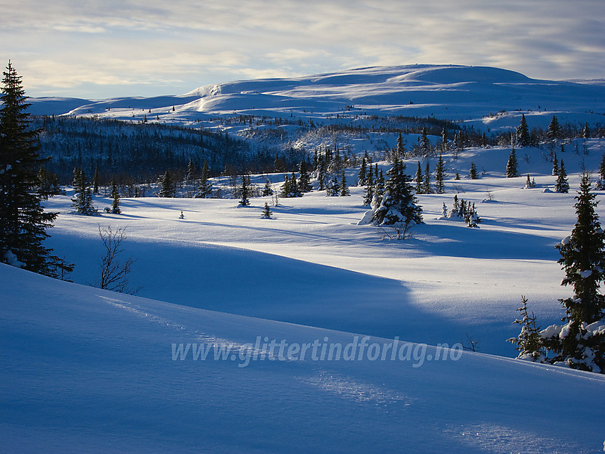 Like ved Søre Fjellstølen med utsikt i retning Bjødalsfjellet.