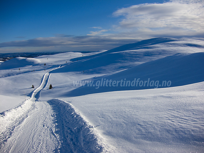 Skispor (runde fra Søre Fjellstølen) oppover mot Bjødalsfjellet fra øst.