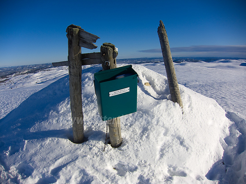 På toppen av Bjødalskampen (1159 moh).