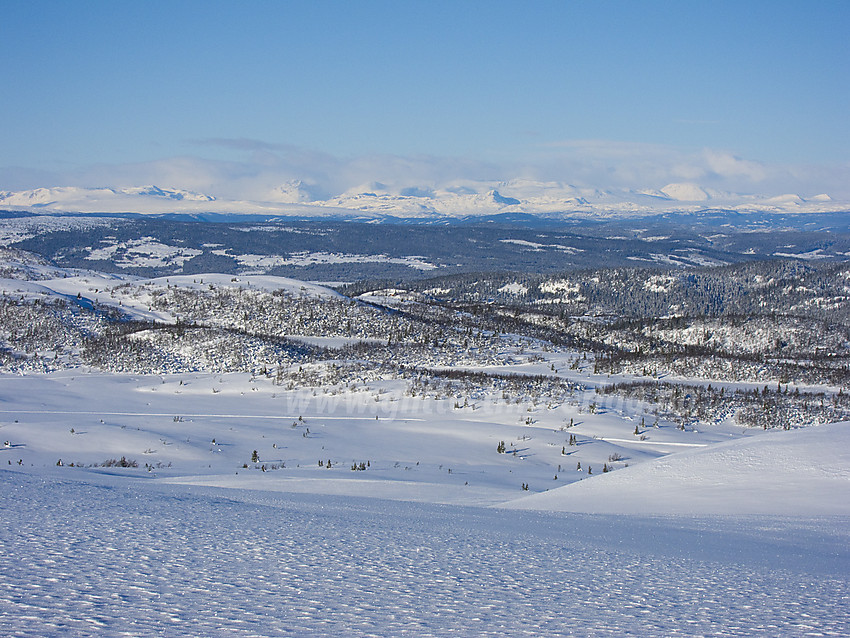 Utsikt fra Bjødalskampen mot Jotunheimen.