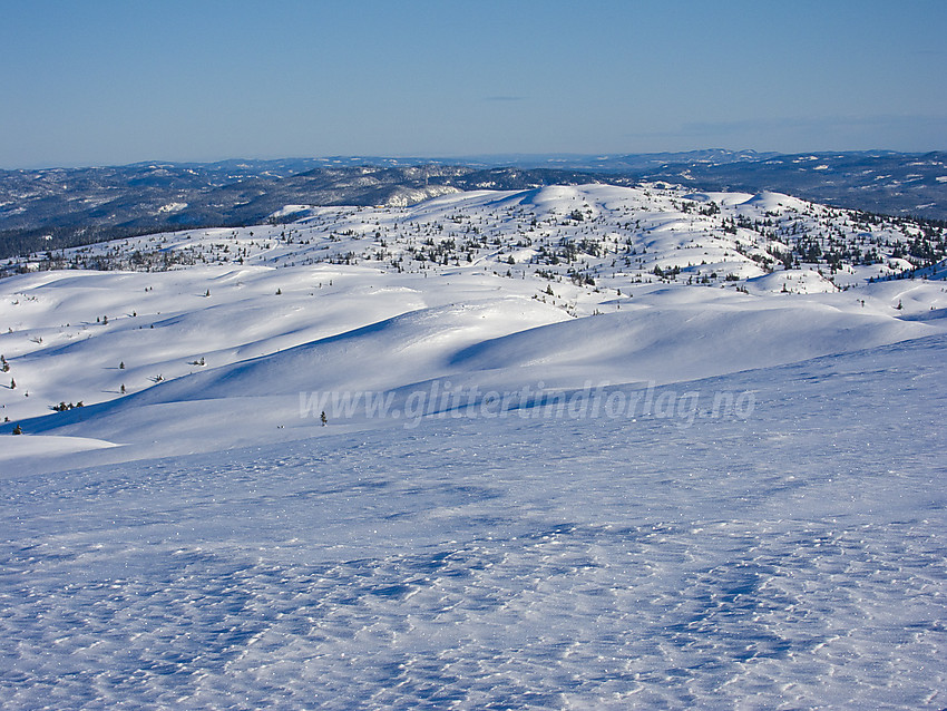 Fra Bjødalsfjellet mot Ølnessæterfjellet (1076 moh).