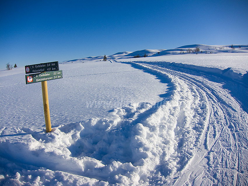 Løypekryss ved foten av Bjødalsfjellet.