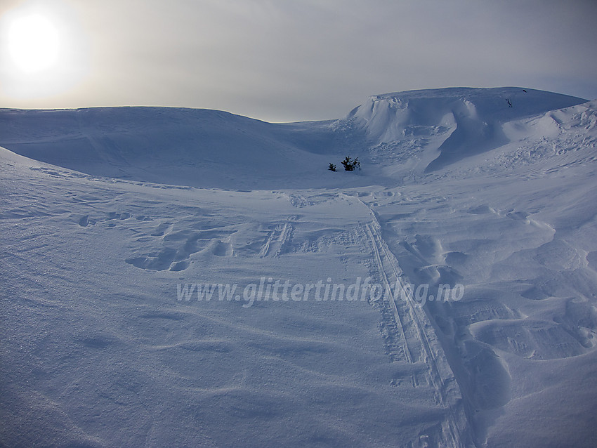 Fjellterreng i nærheten av Fjellsvarden i Etnedal.