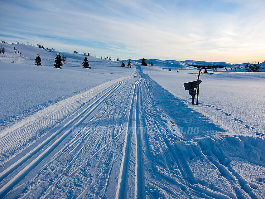 Skispor like ved Røysvang (Nordre Fjellstølen). Bjødalsfjellet i bakgrunnen.