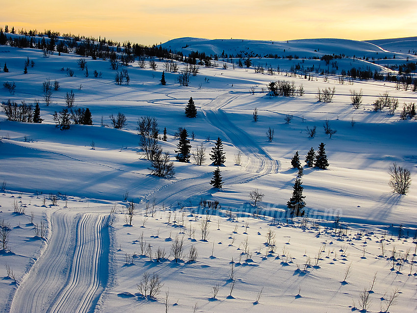 Stemningsfullt kveldslys over skiløype ikke langt fra Nordre Fjellstølen i Sør-Aurdal.