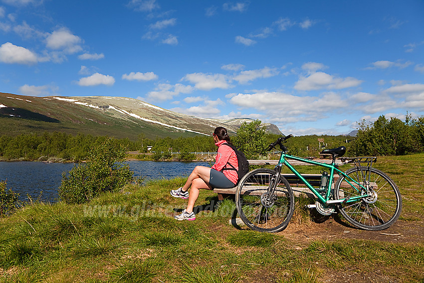 Flott rasteplass innerst i Svenskefjorden, litte nedenfor Jaslangen, med Gråkampen i bakgrunnen.