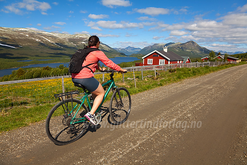 Vakker sommerdag på vakre Jaslangen mot Movatn og Strø.