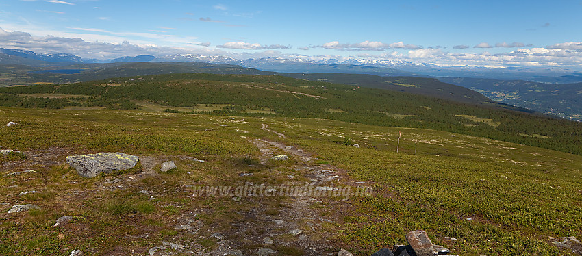 Utsikt i nordvestlig retning fra Ålfjell mot bl.a. Jotunheimen.