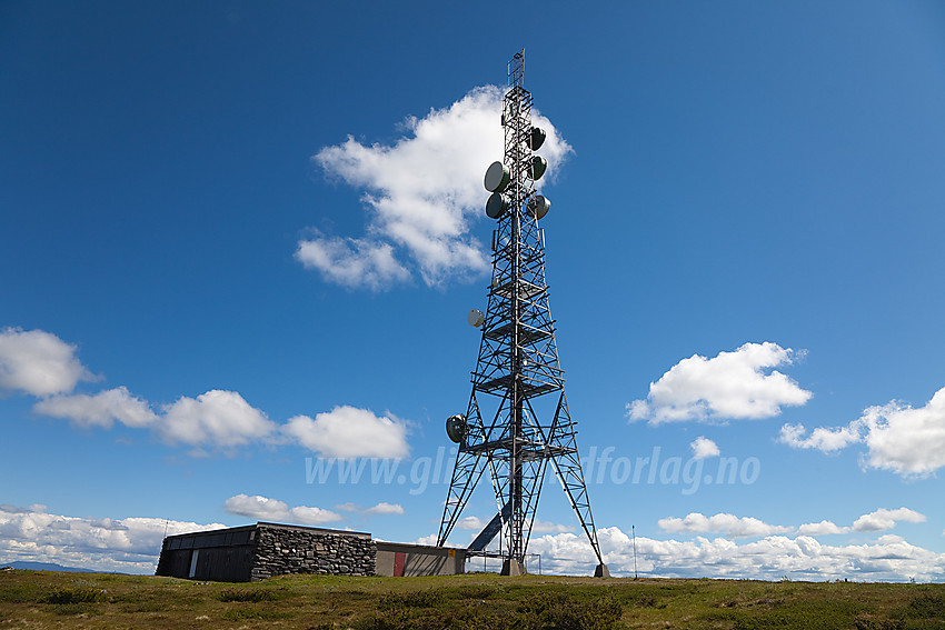 Tårnet på Ålfjell (1137 moh).