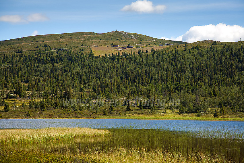 Ved Pipetjernet mot Synhaugen (1085 moh).