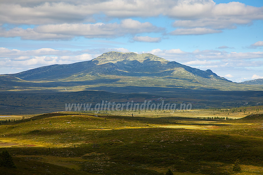 Skaget (1686 moh) sett fra Synhaugen.