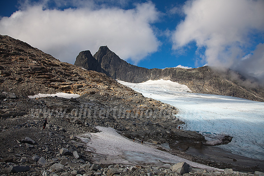 Ved Falkbreen (Snøggeken) med Falkungen og Falketind (2067 moh) i bakgrunnen.