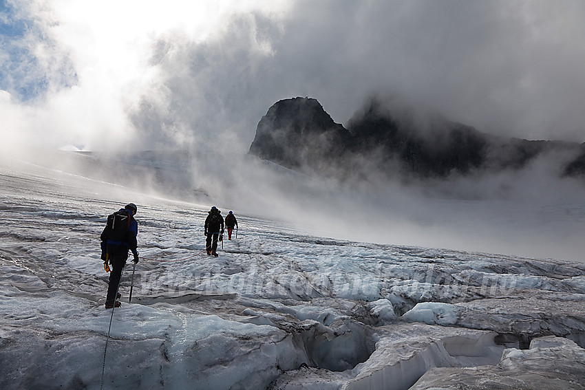 Brevandring på Falkbreen med Falkungen og Falketind (delvis innhyllet i tåke) i bakgrunnen.