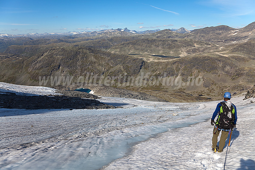 Brevandrer på vei ned Stølsnosbreen mot nord.