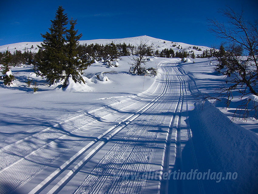 På vei opp mot Fjellenden på Aurdalsåsen.