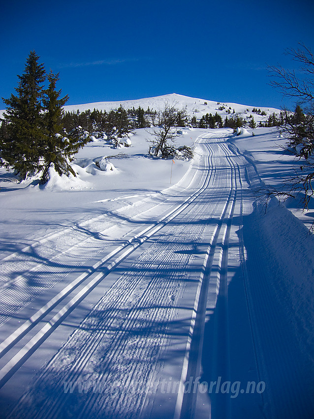 På vei opp mot Fjellenden på Aurdalsåsen.