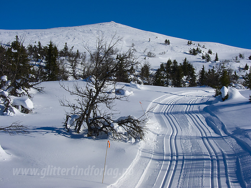 På vei opp mot Fjellenden på Aurdalsåsen.