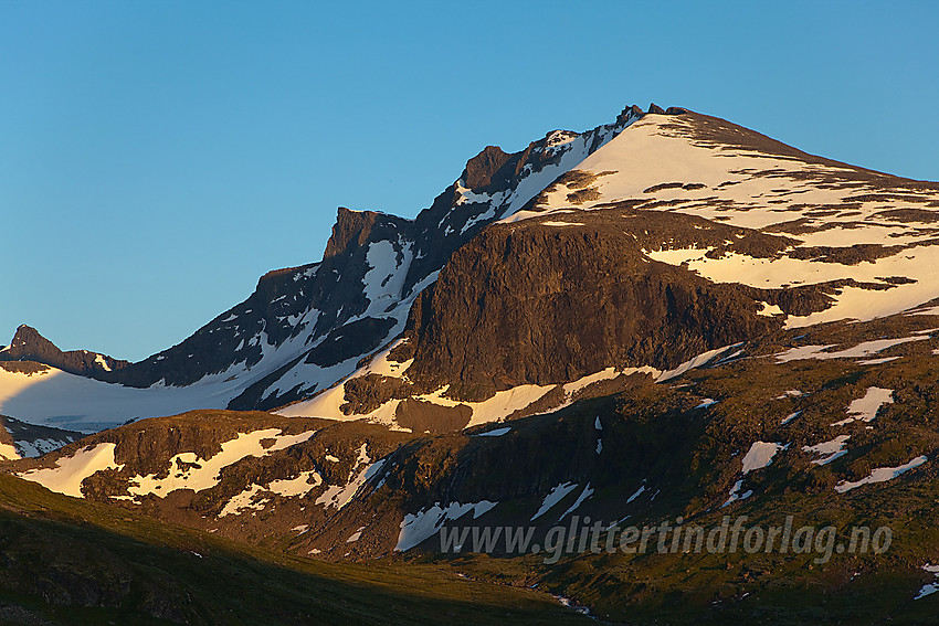 Dyrhaugsryggen i kveldslys.