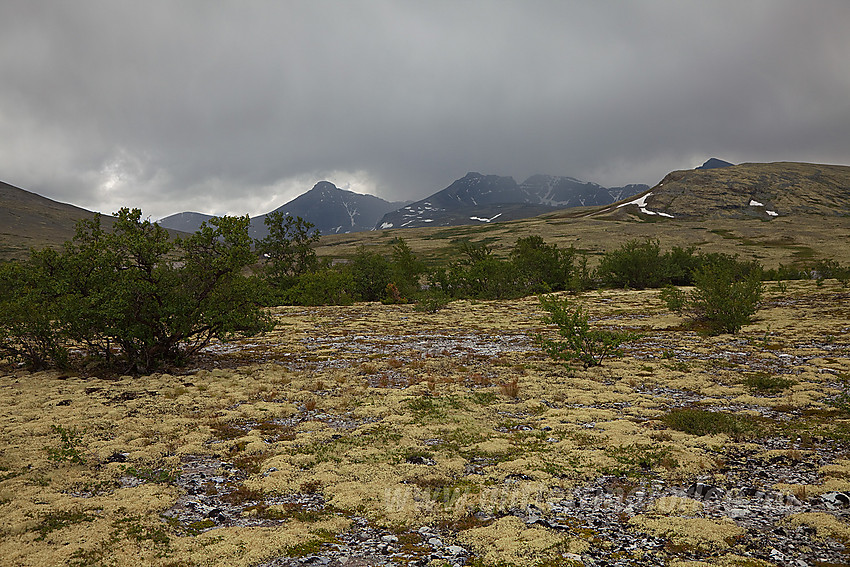 Mot Rondane fra nord med Høgronden og Midtrondane sentralt i bildet.