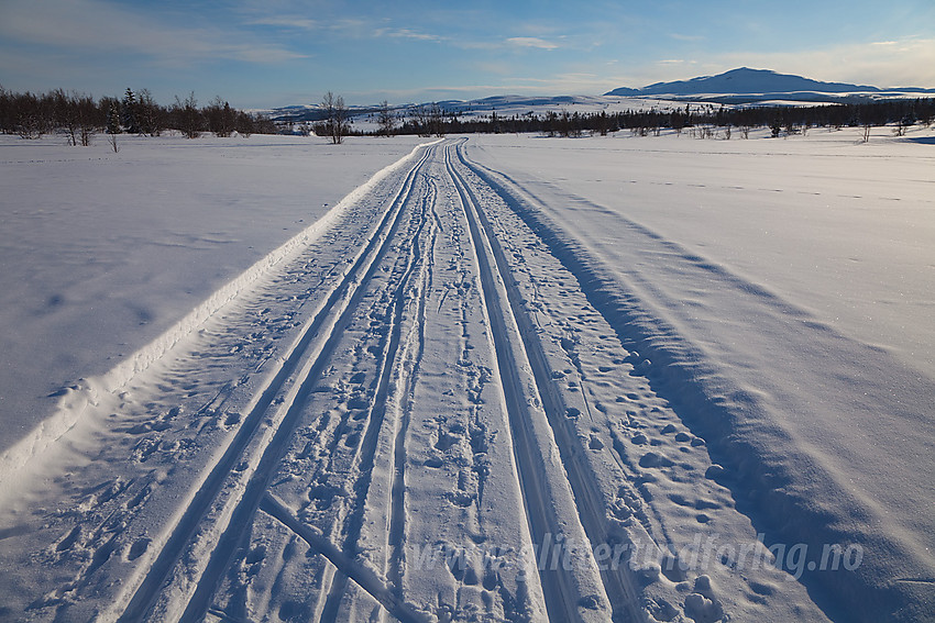 I Vestfjelløypene, like ved Liastølen ved foten av Syndisfjellet med Grønsennknipa i det fjerne.