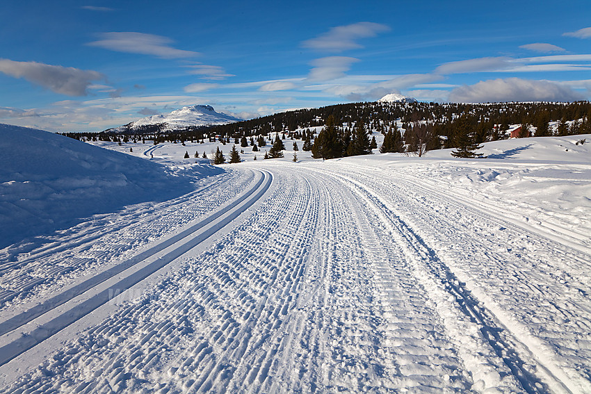 Ved Juvike mot Skarvemellen i løypa som går oppover mot Kjølafjellet og Tansbergrunden.