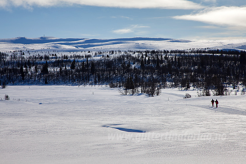 Skiløpere i rundløypa fra Lenningen rundt Sebu-Røssjøen. Synnfjellet i bakgrunnen.