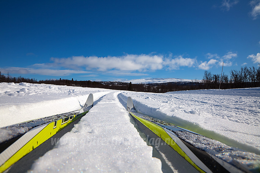 Ski i skispor ved Lenningen i Etnedal.