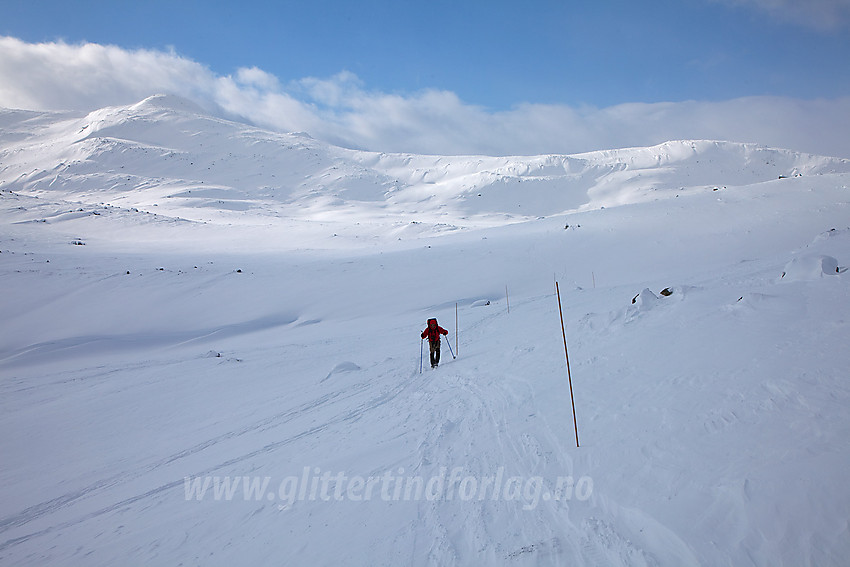 På vei fra Tyinstølen mot Tomashelleren. I bakgrunnen ses deler av Målegge (1454 moh).