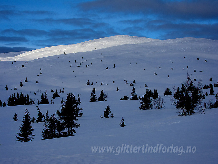 I løypenettet fra Hellebekkseteren i Sør-Aurdal mot Rauddalsfjellet (1205 moh).