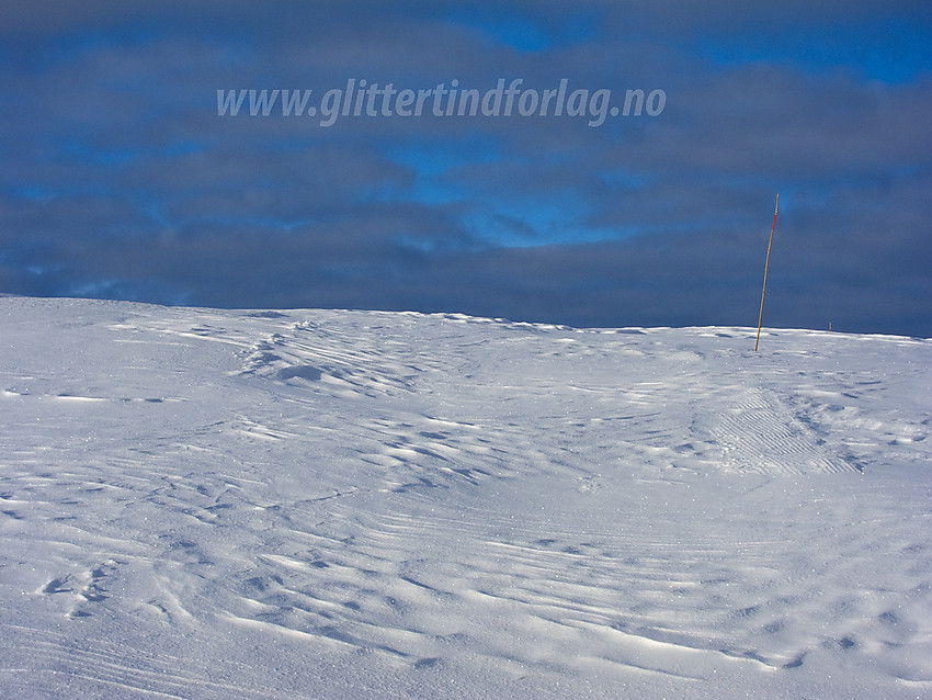 Nedsnødd skiløype ved Rauddalsfjellet i Sør-Aurdal, en del av løypenettet fra Hellebekkseter.