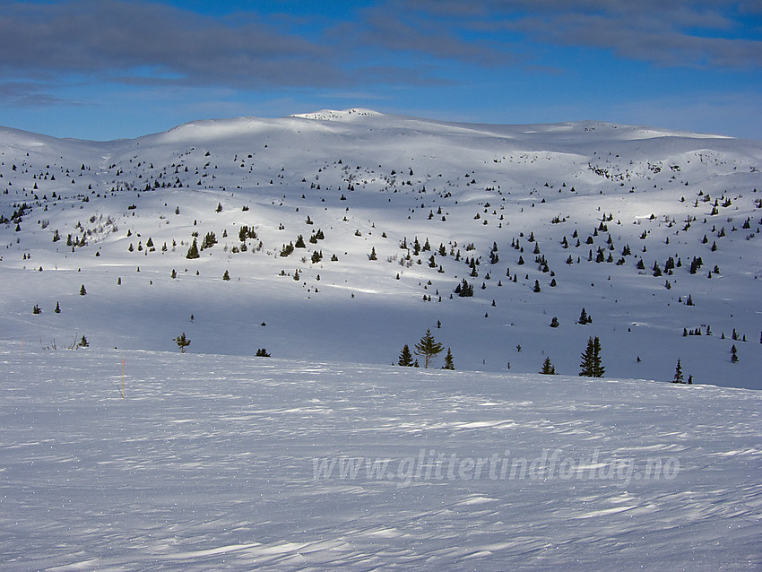 På vei ned fra Bergeleinnatten mot Meitebekkfjellet (1241 moh). Den nedsnødde skiløypa er en del av rutenettet fra Hellebekkseter i Sør-Aurdal.