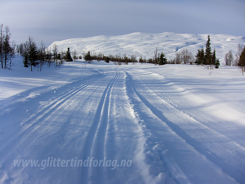 I skiløypene ved Midtre Syndin med Gilafjellet i bakgrunnen en tidlig vintermorgen.