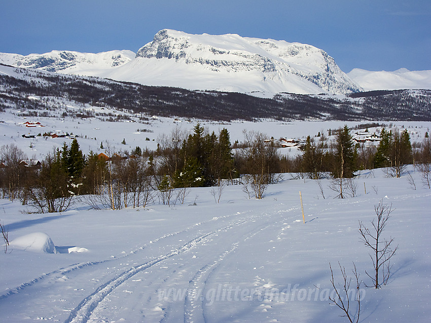 I løypenettet ved Midtre Syndin med Grindane (1724 moh) i bakgrunnen.