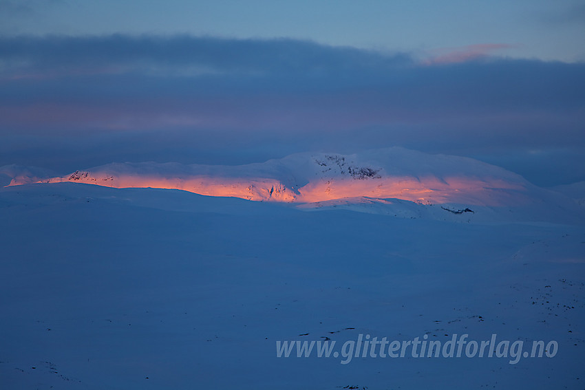 Fra Børrenøse mot Sulefjellet (1821 moh) en vintermorgen.