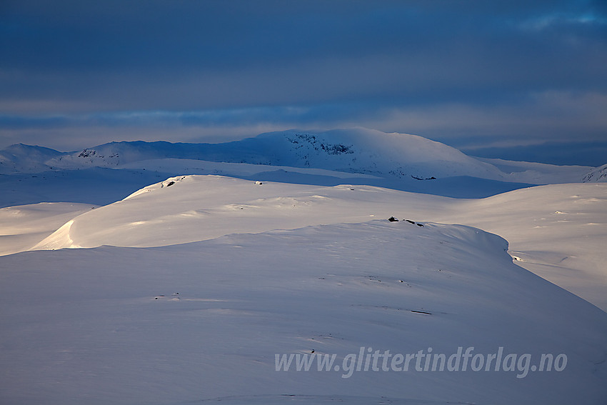 Ikke langt fra Børrenøse på Filefjell med fløyelsmykt, bølgende morgenlys innover mot Sulefjellet (1821 moh).